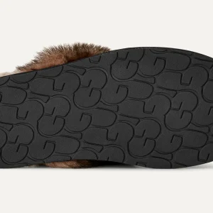 Women's Scuffette Nubuck